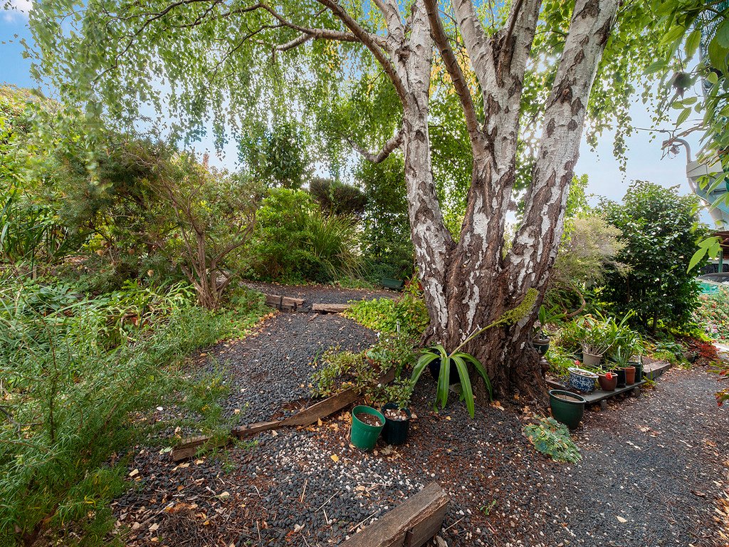 23 Chippendale Street CLAREMONT 18