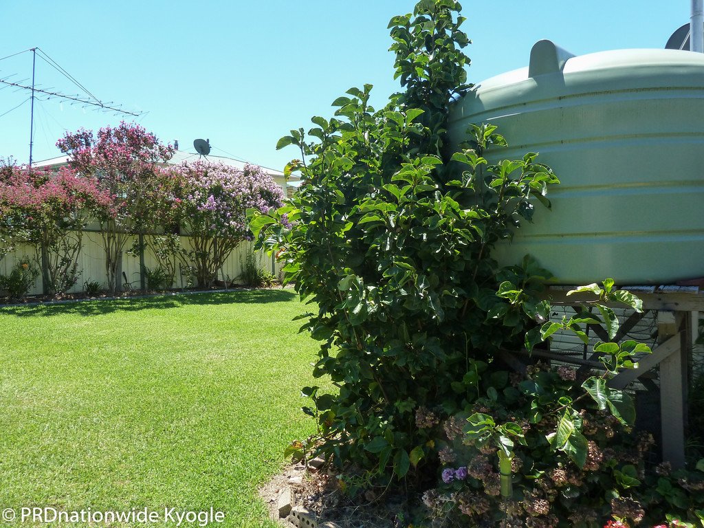 23 Dalmorton Street WOODENBONG 13