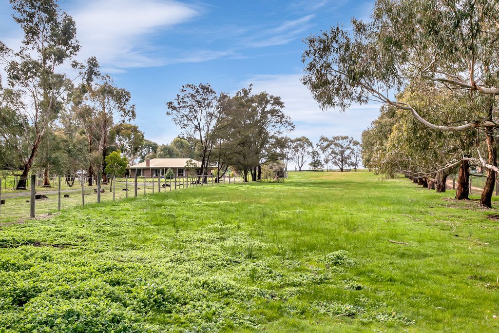 23 Deborah Court HADDON 15