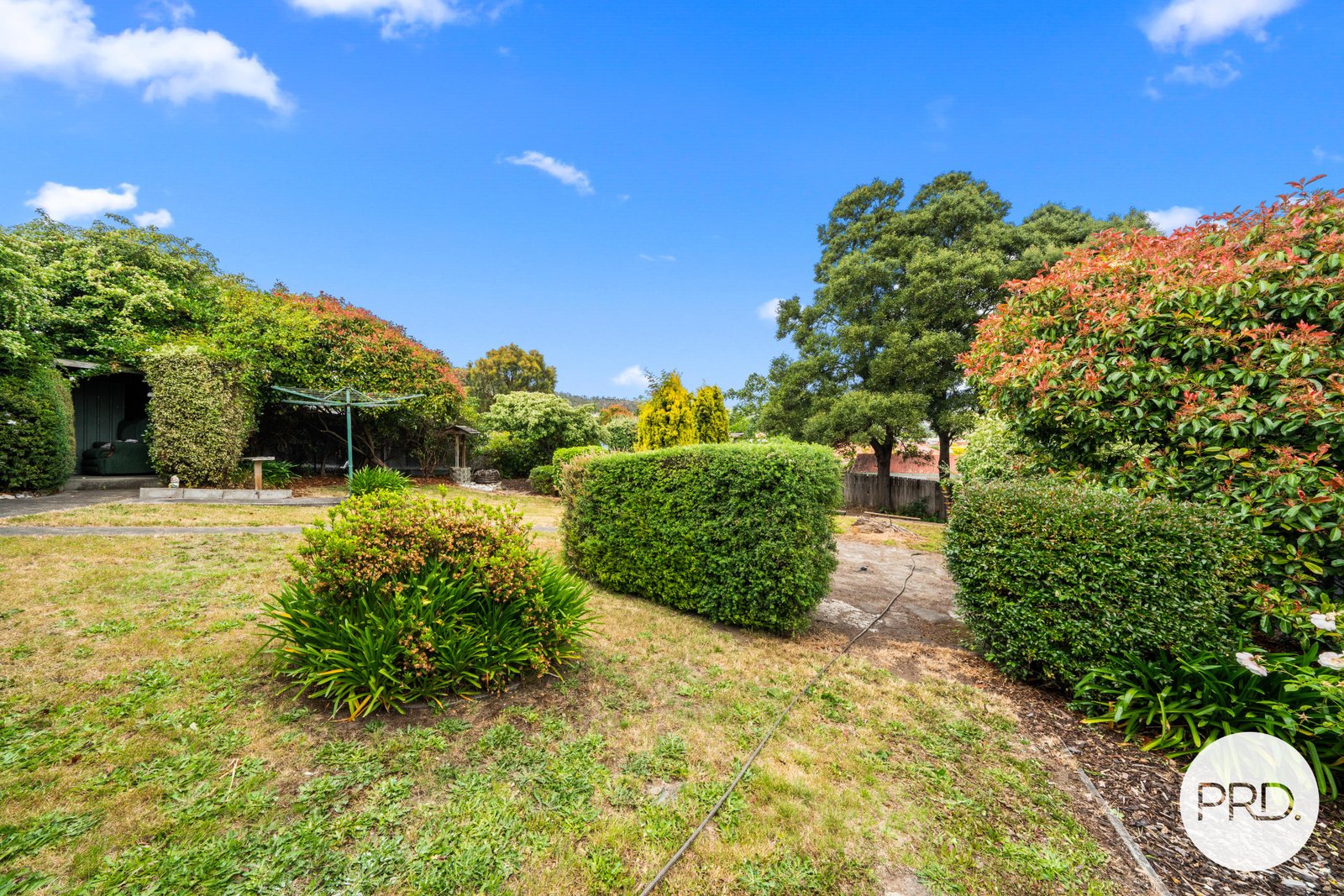 23 Dixon Street NEW NORFOLK 13