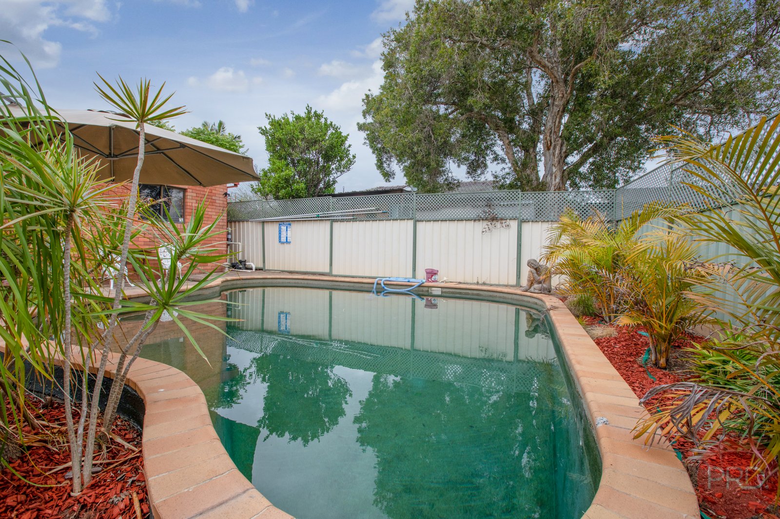 23 Dunkley Street RUTHERFORD 20