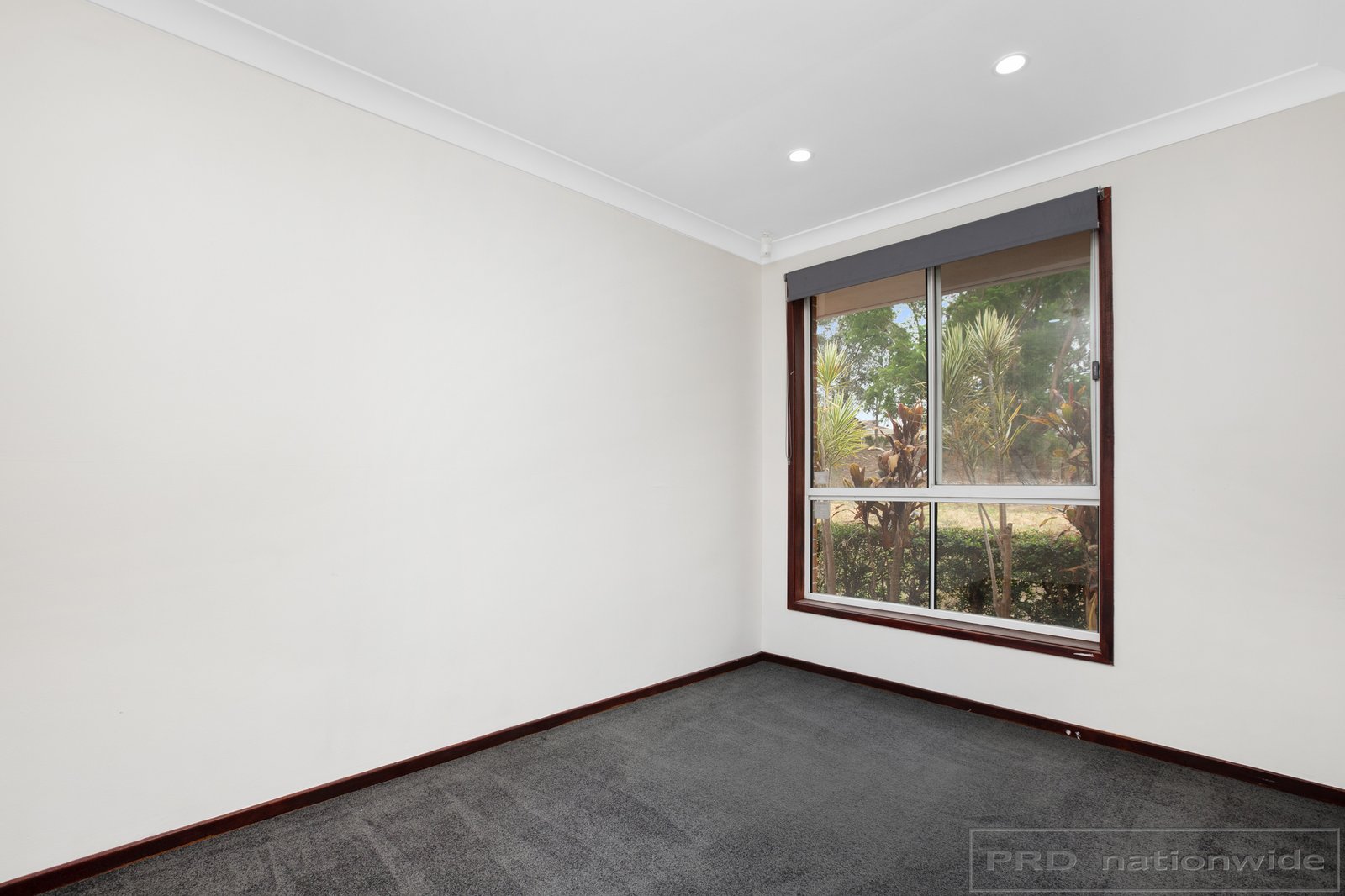 23 Garwood Street RUTHERFORD 12
