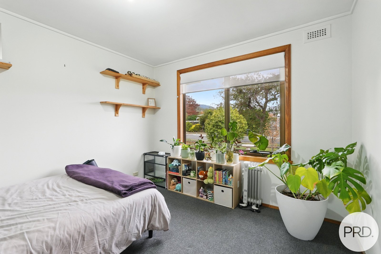 23 Giddy Avenue NEW NORFOLK 9