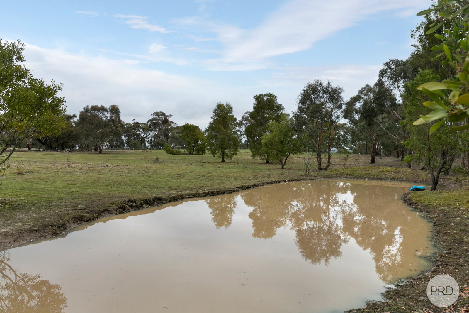 23 Glens Road NEWTOWN 4