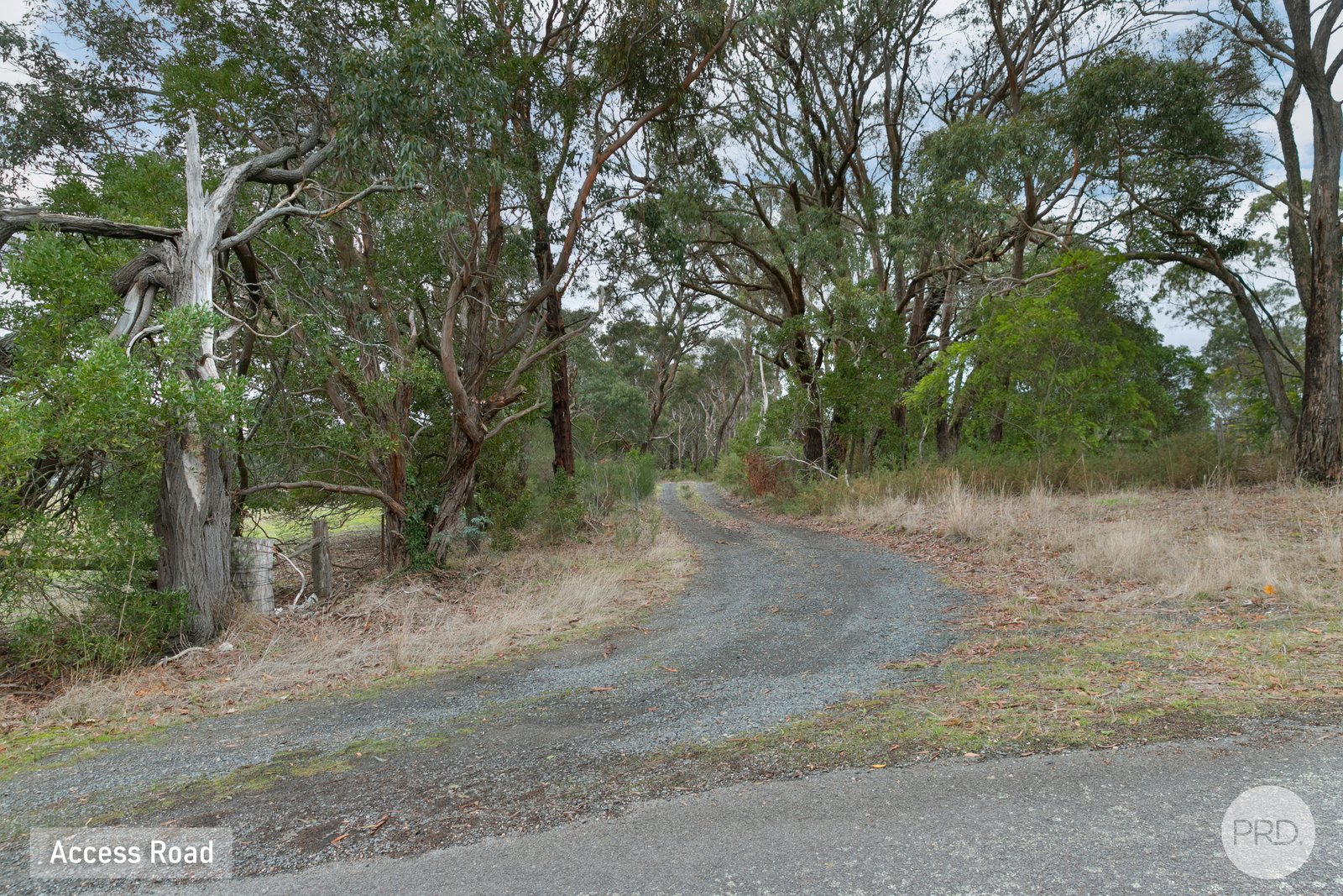 23 Glens Road NEWTOWN 6