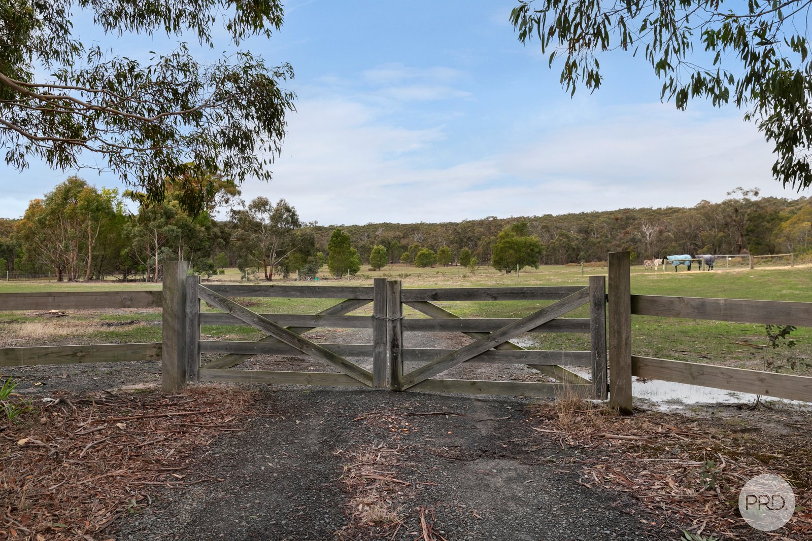 23 Glens Road NEWTOWN 7