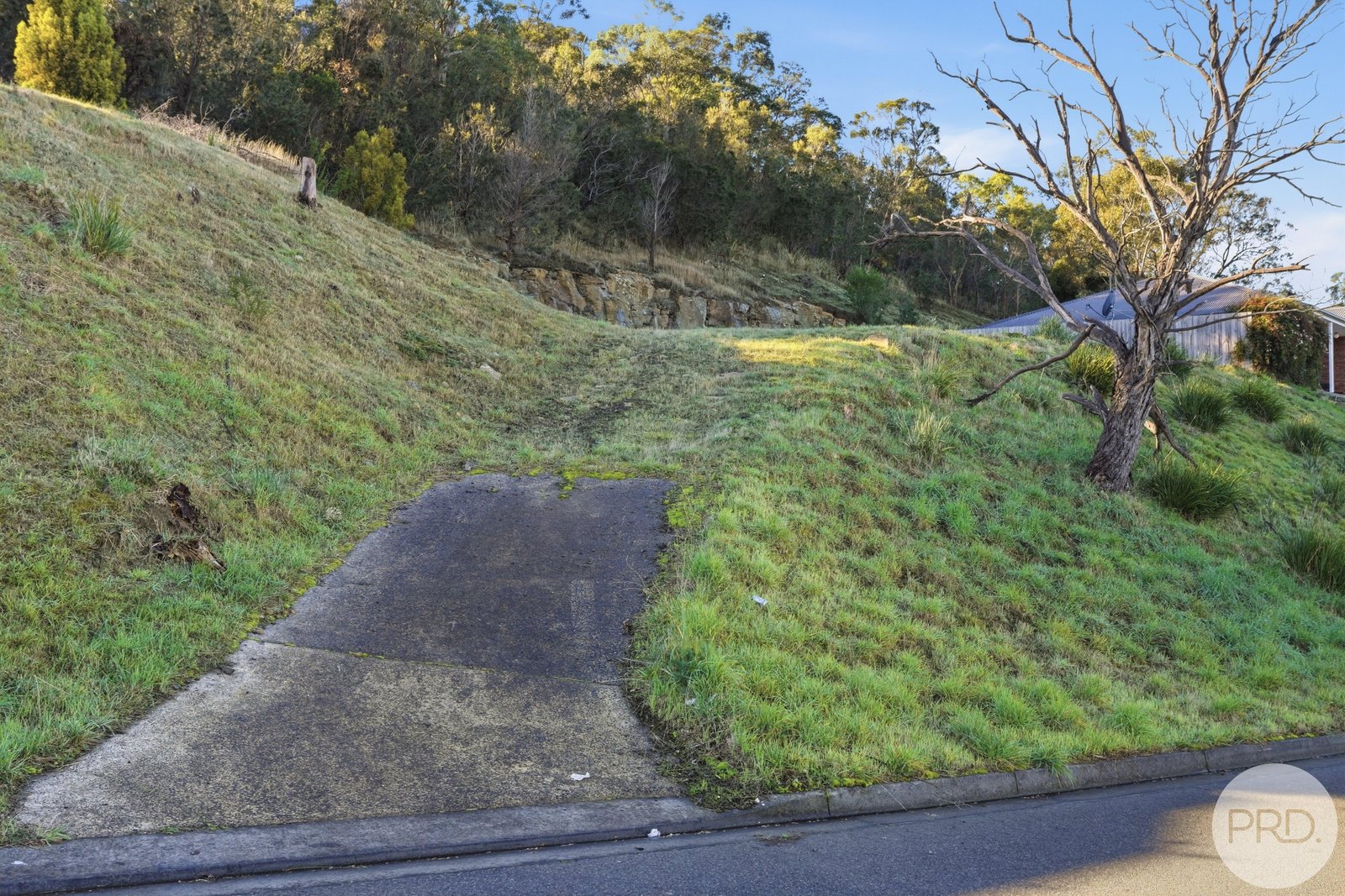 23 Grevillea Avenue OLD BEACH 4