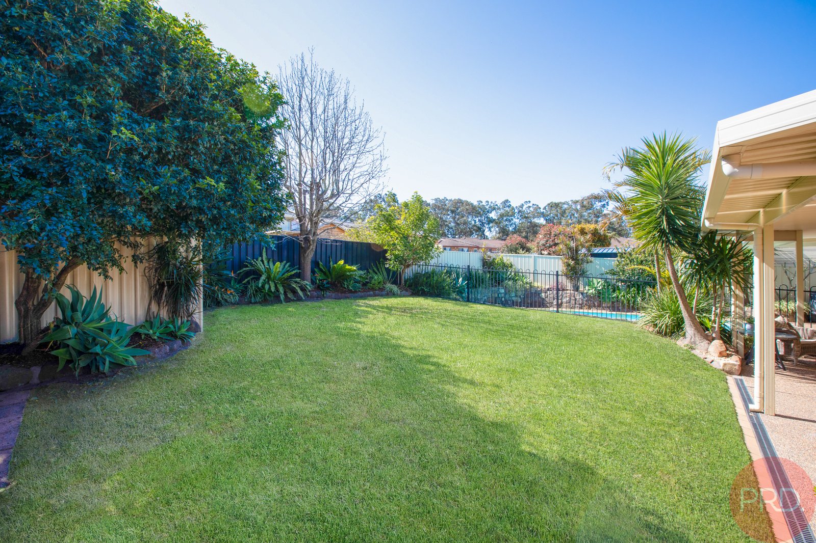 23 Lindeman Street ASHTONFIELD 14