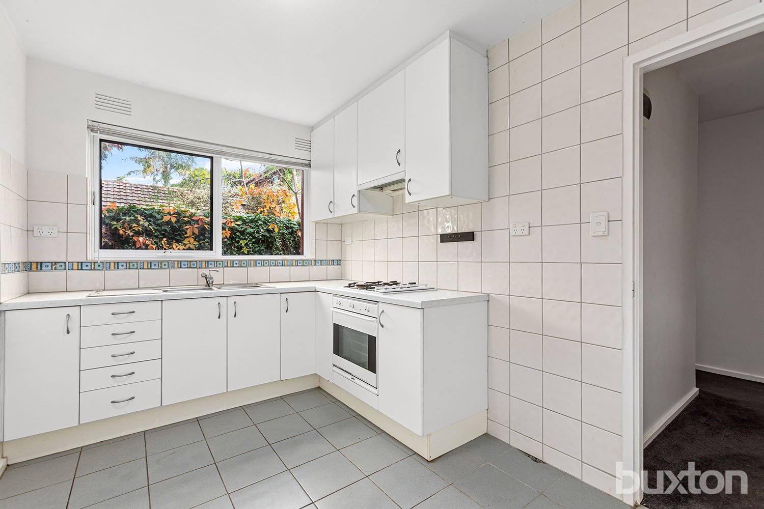 Gallery: 2/3 Mackenzie Street