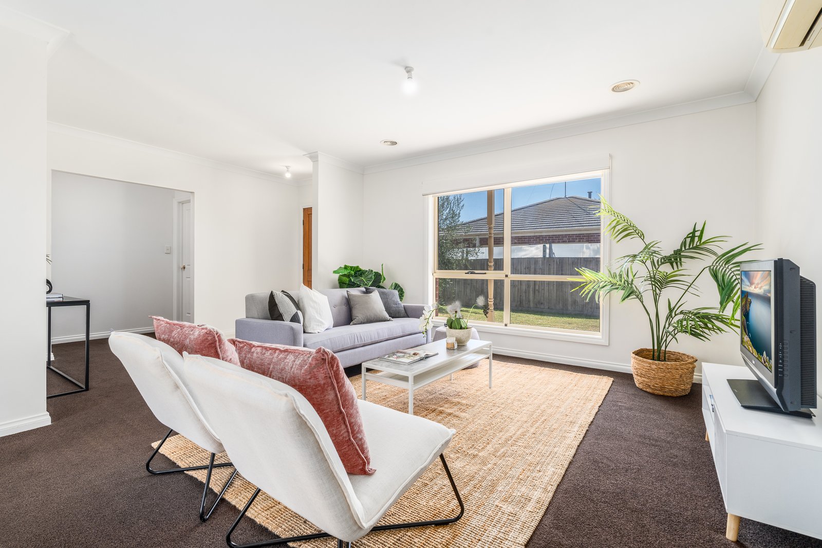 Gallery: 2/3 Malcolm Street