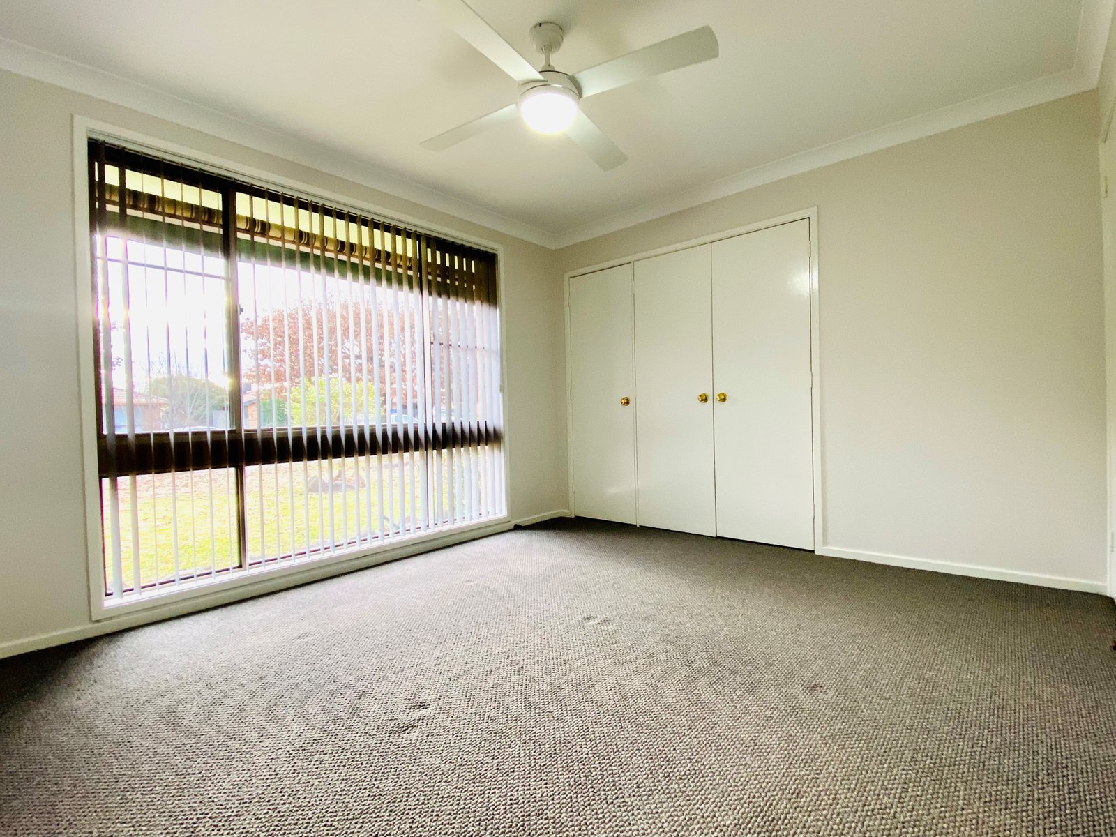 23 Melissa Avenue TAMWORTH 7