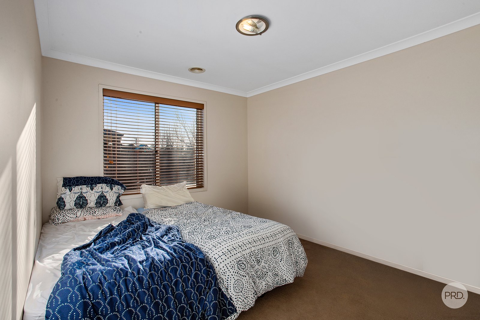 23 Pamela Avenue JACKASS FLAT 7