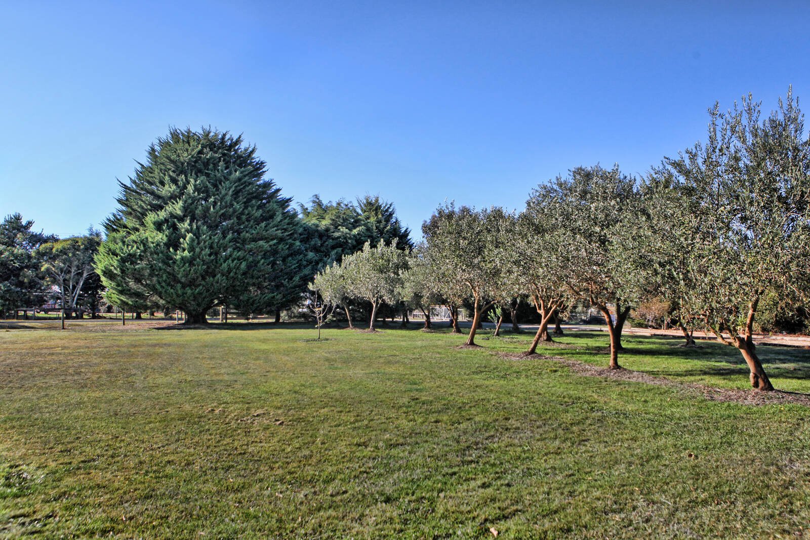 Real Estate and Property in 23 Parkes Drive, Kyneton, VIC