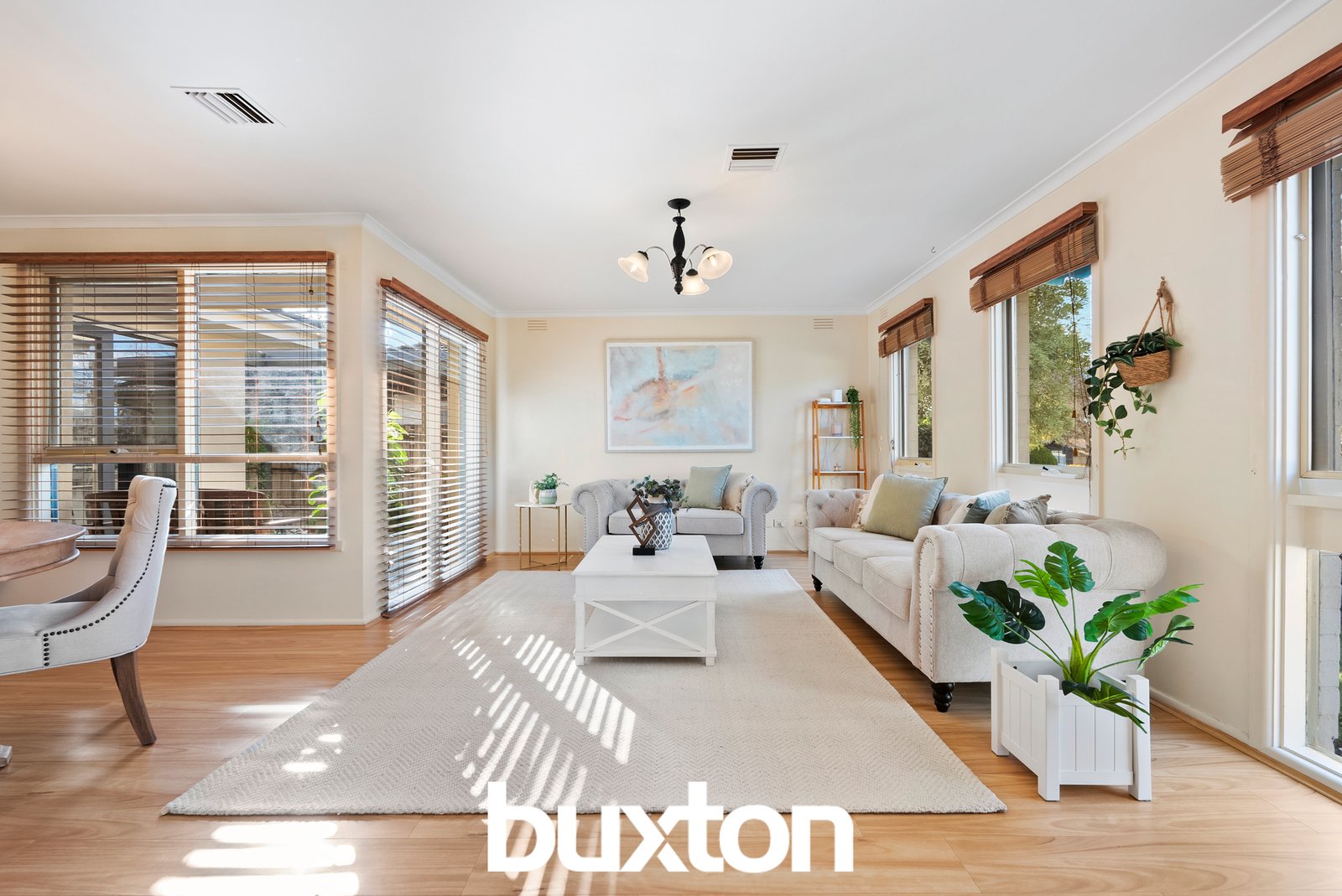 Gallery: 23 Plymouth Street