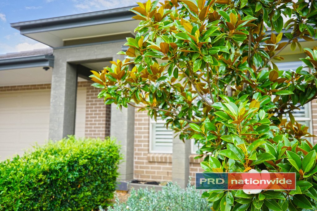 23 Prion Avenue CRANEBROOK 2