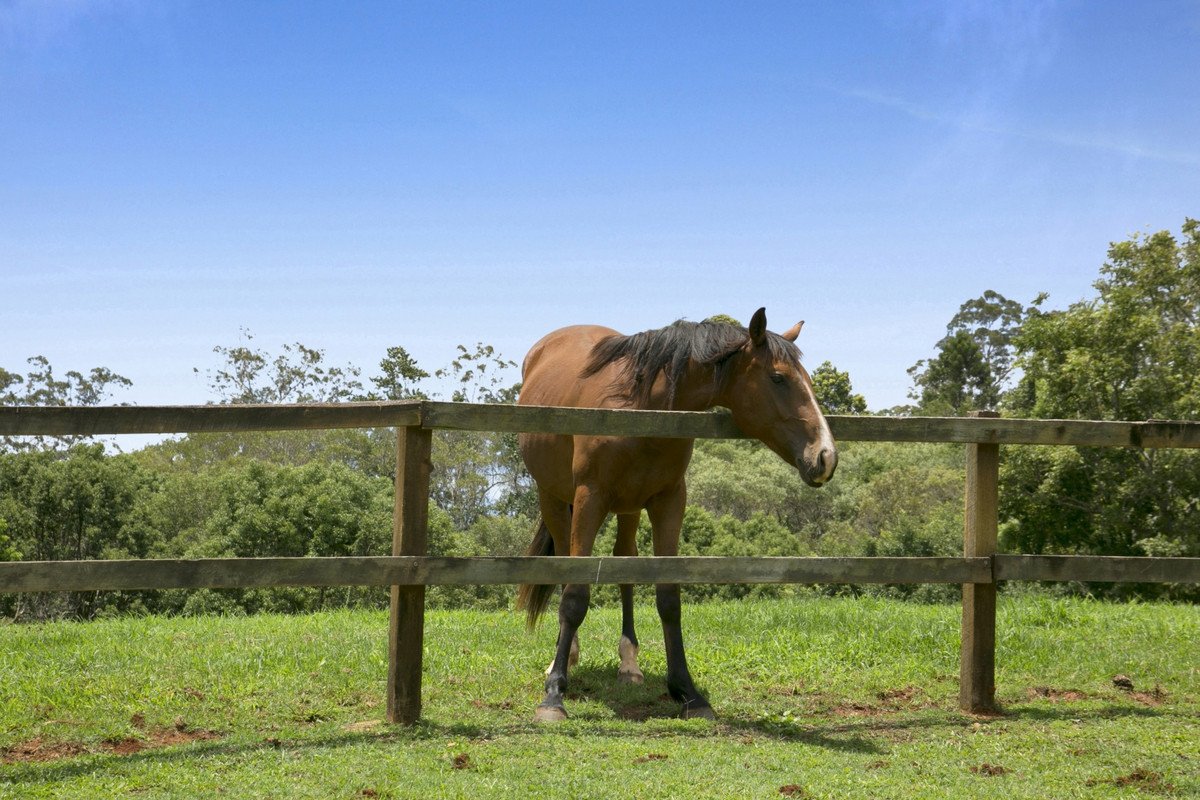 23 Rusty Court Tallebudgera Valley 4