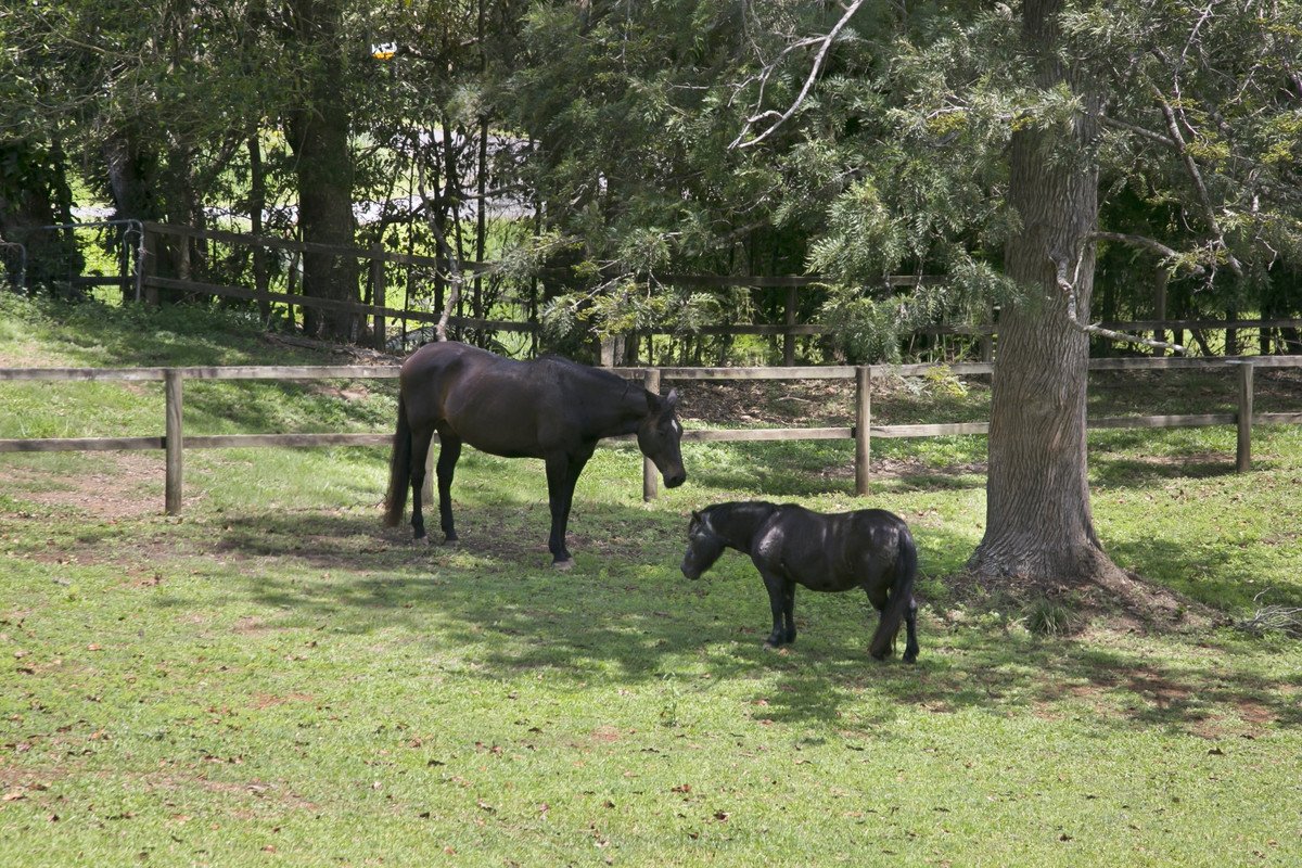 23 Rusty Court Tallebudgera Valley 26