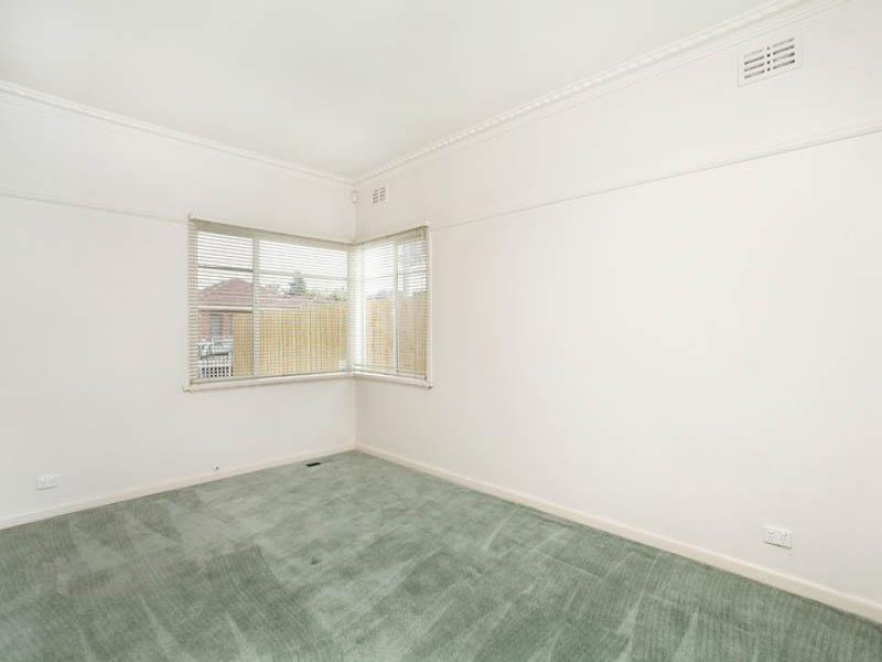 Gallery: 23 Stanger Street