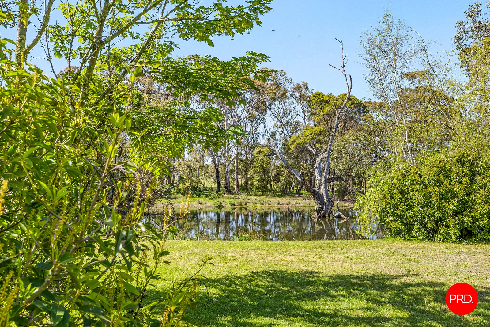 23 Strawhorn Court KYNETON 19