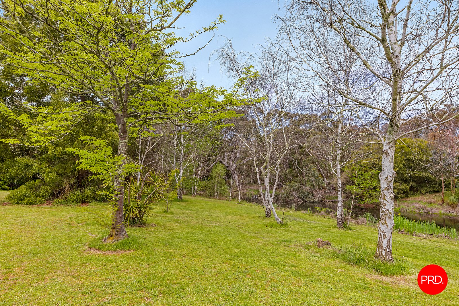 23 Strawhorn Court KYNETON 22