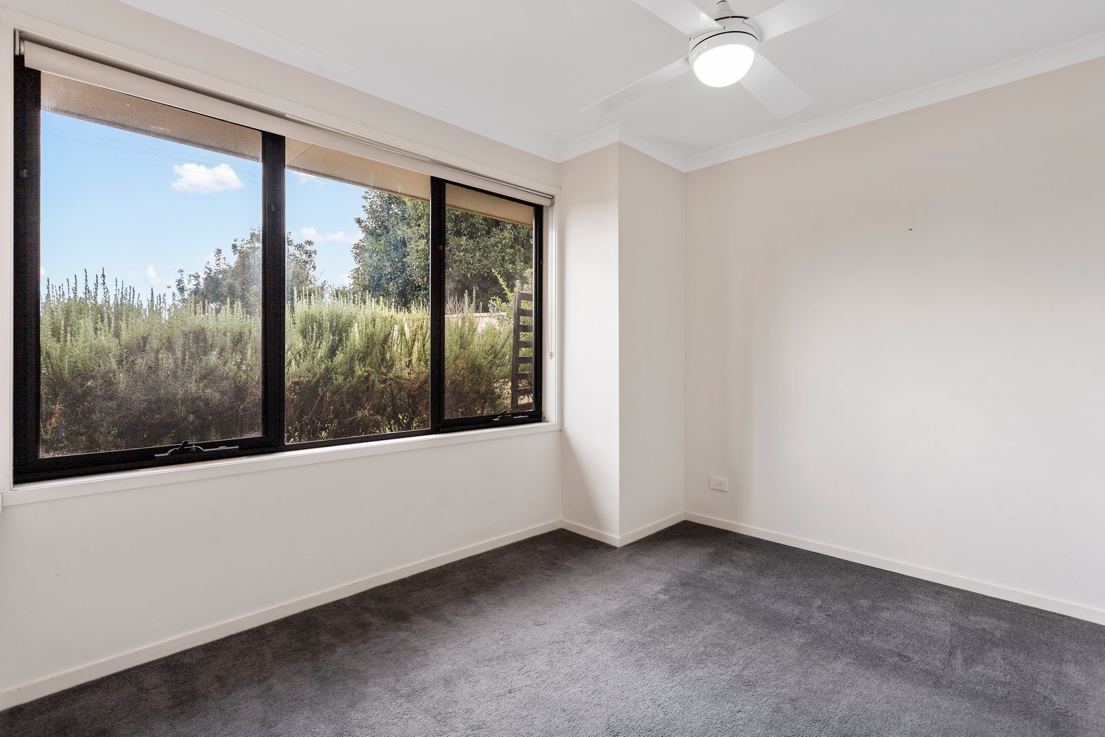 23 Thorpe Street CALIFORNIA GULLY 6