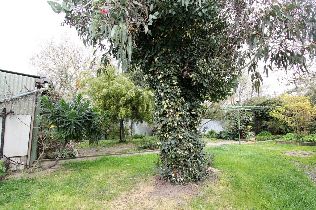 23 Vale Street ALFREDTON 11