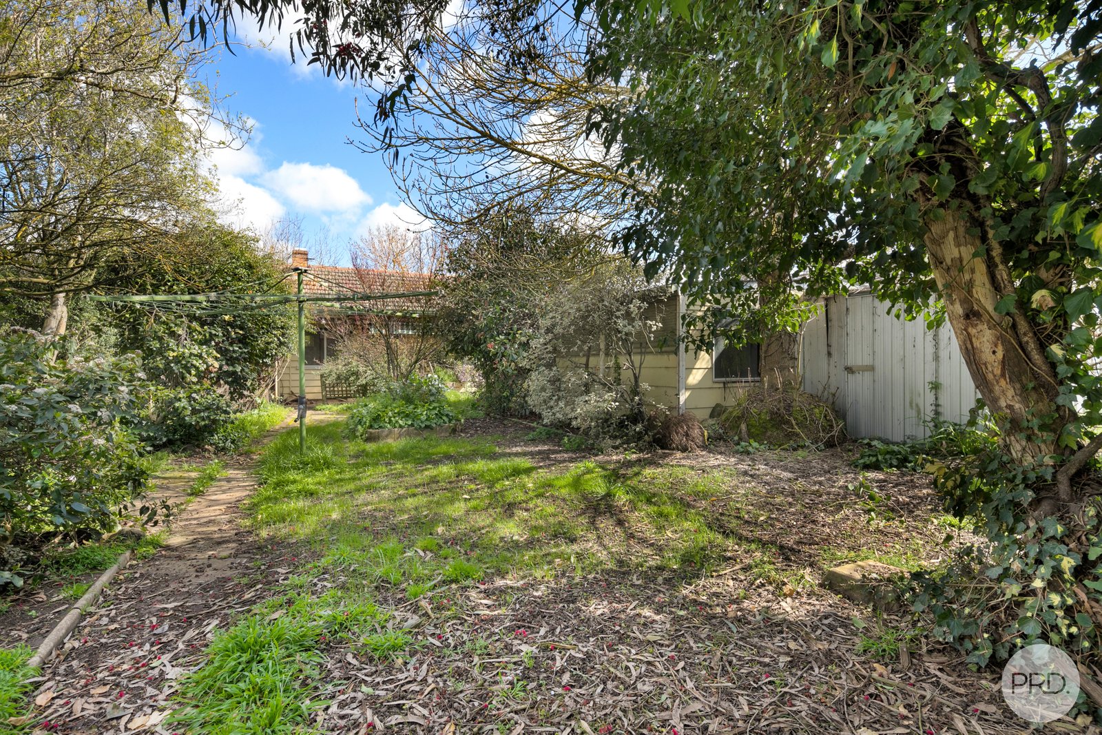 23 Vale Street ALFREDTON 10