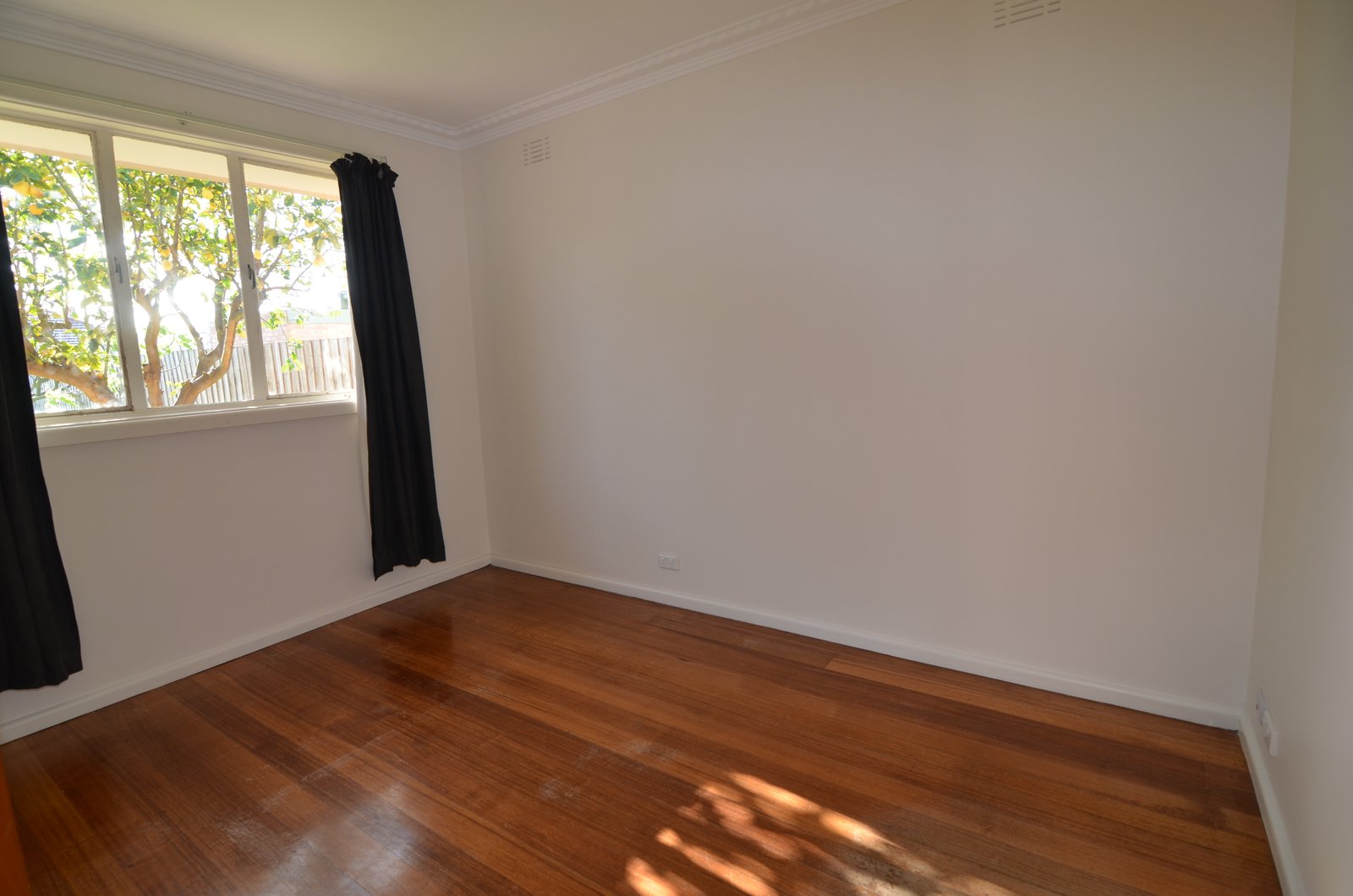 Gallery: 23 Walsgott Street