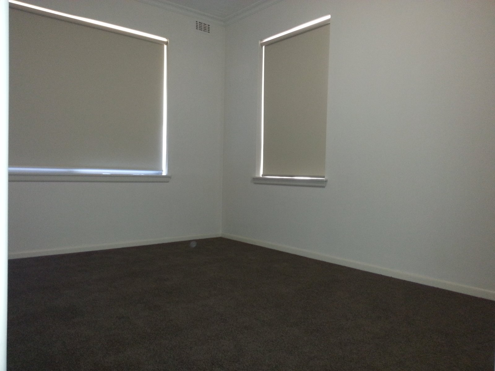 Gallery: 23 Warner Avenue