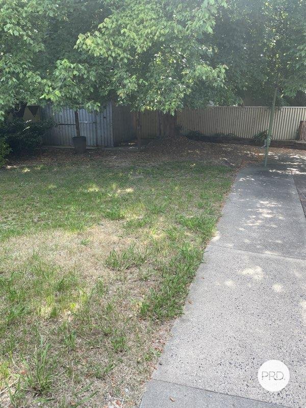 23 Woodward Street ORANGE 16