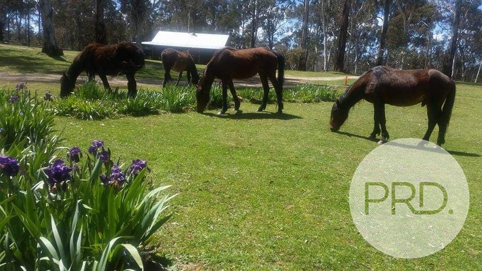 230 Bradley's Drive TUMBARUMBA 35