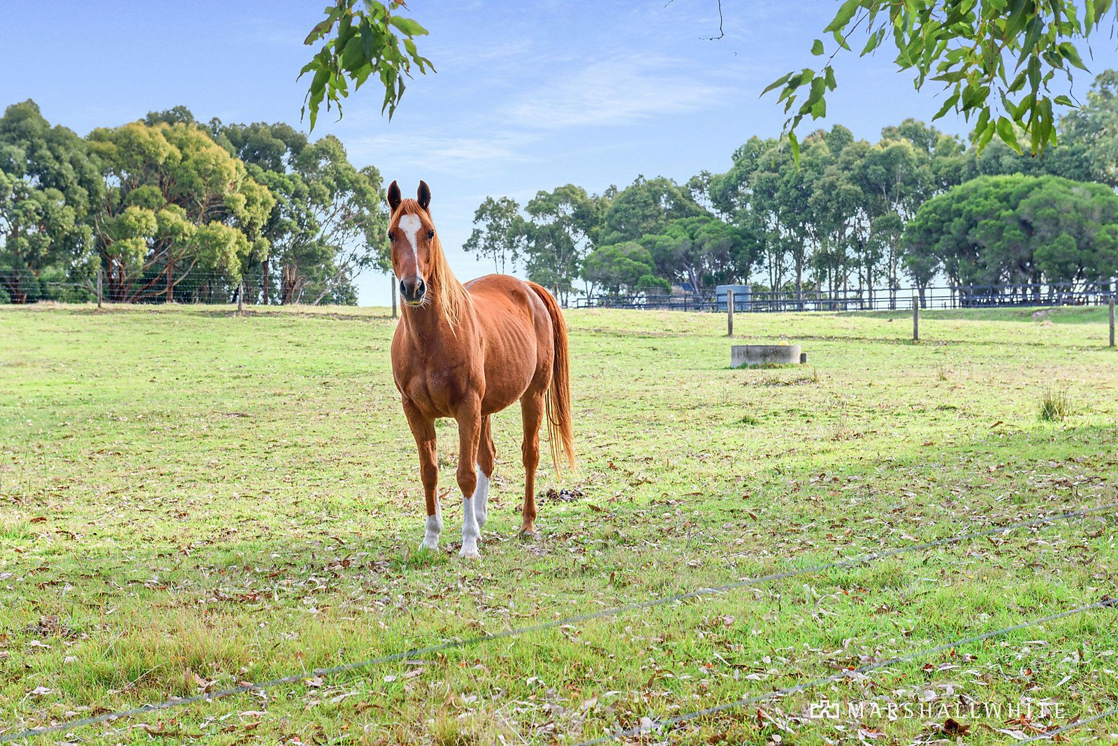 230 Gwenmarlin Road, Flinders, VIC