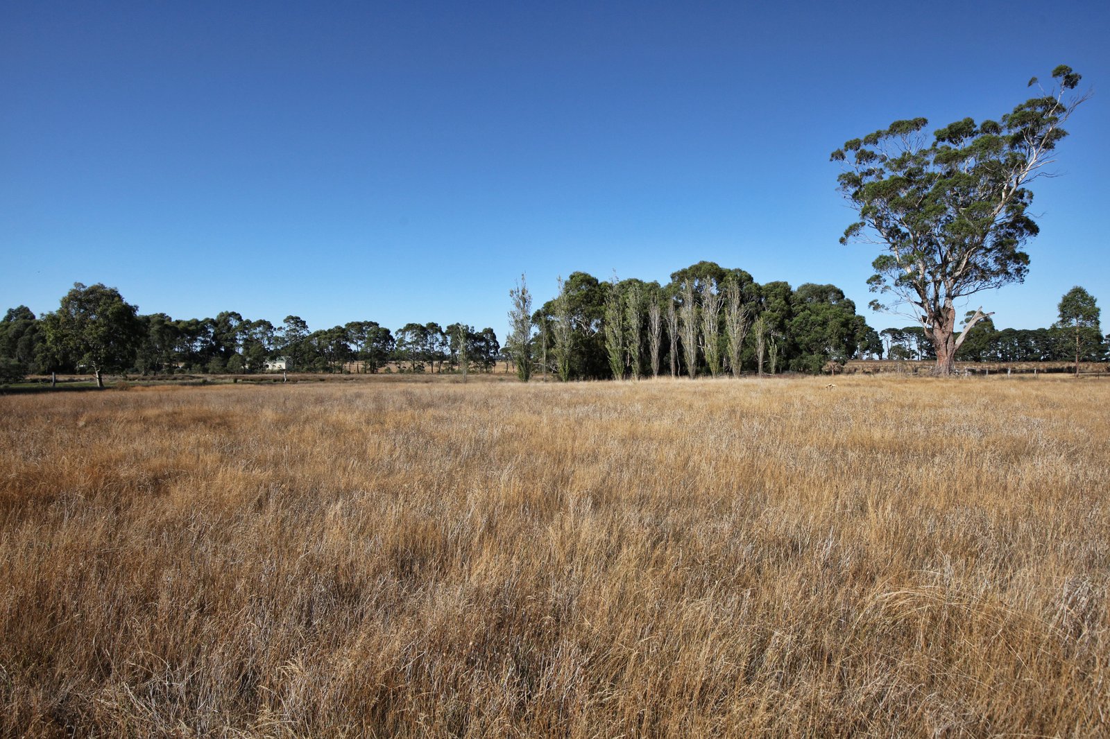 Real Estate and Property in 230 Mill Road, Kilmore, VIC