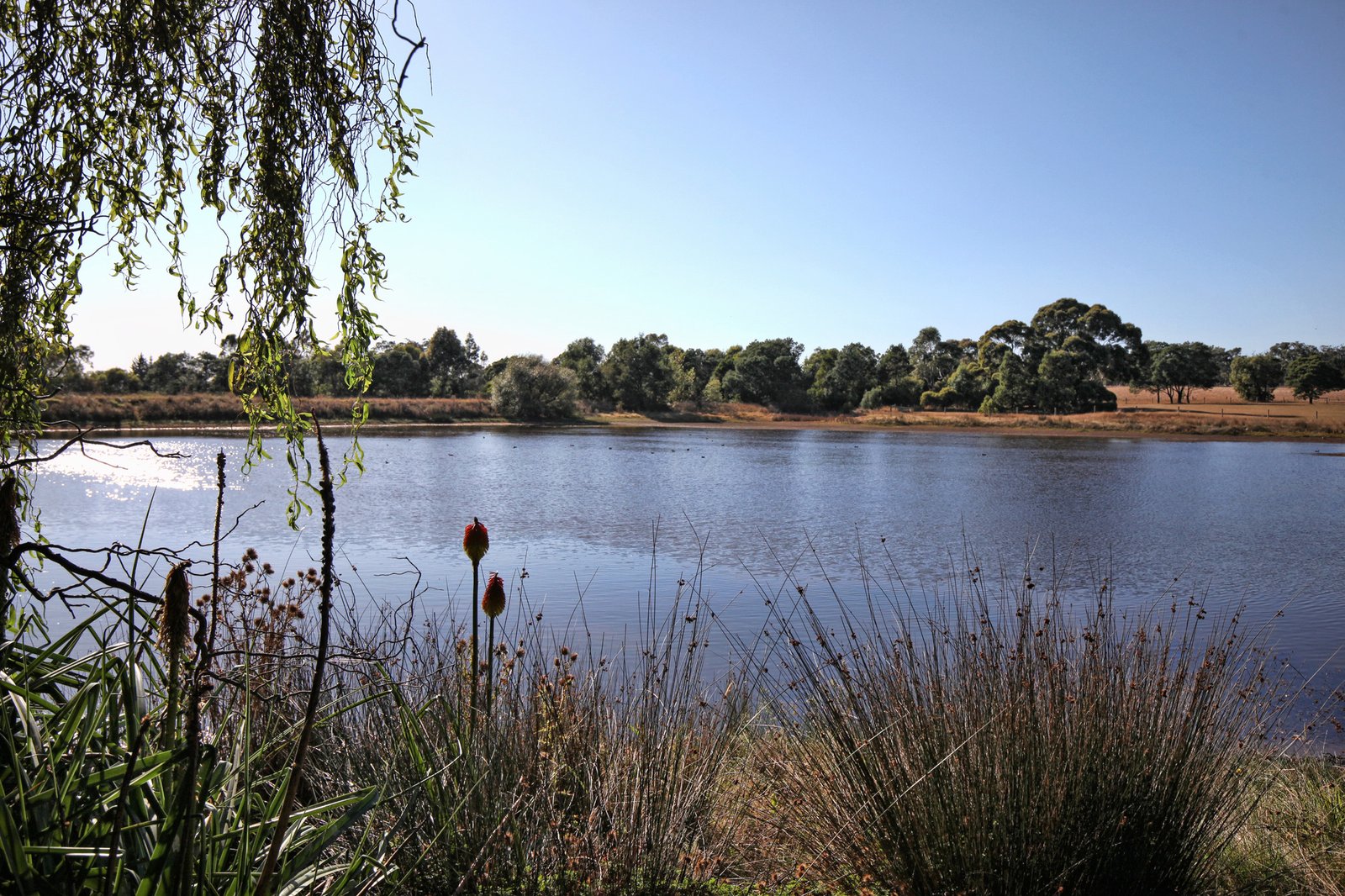 Real Estate and Property in 230 Mill Road, Kilmore, VIC