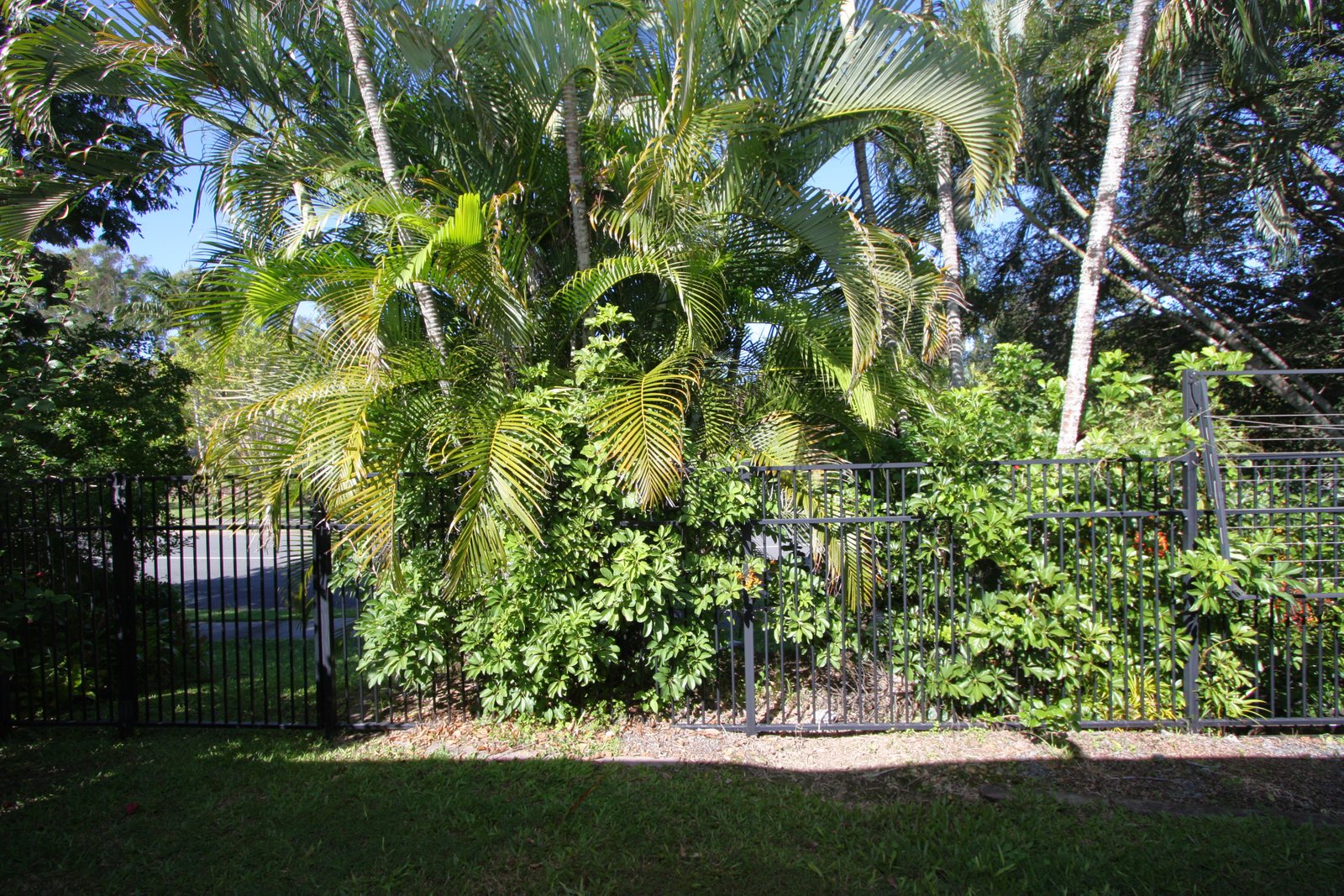 23/1-21 Golden Palms Court ASHMORE 9