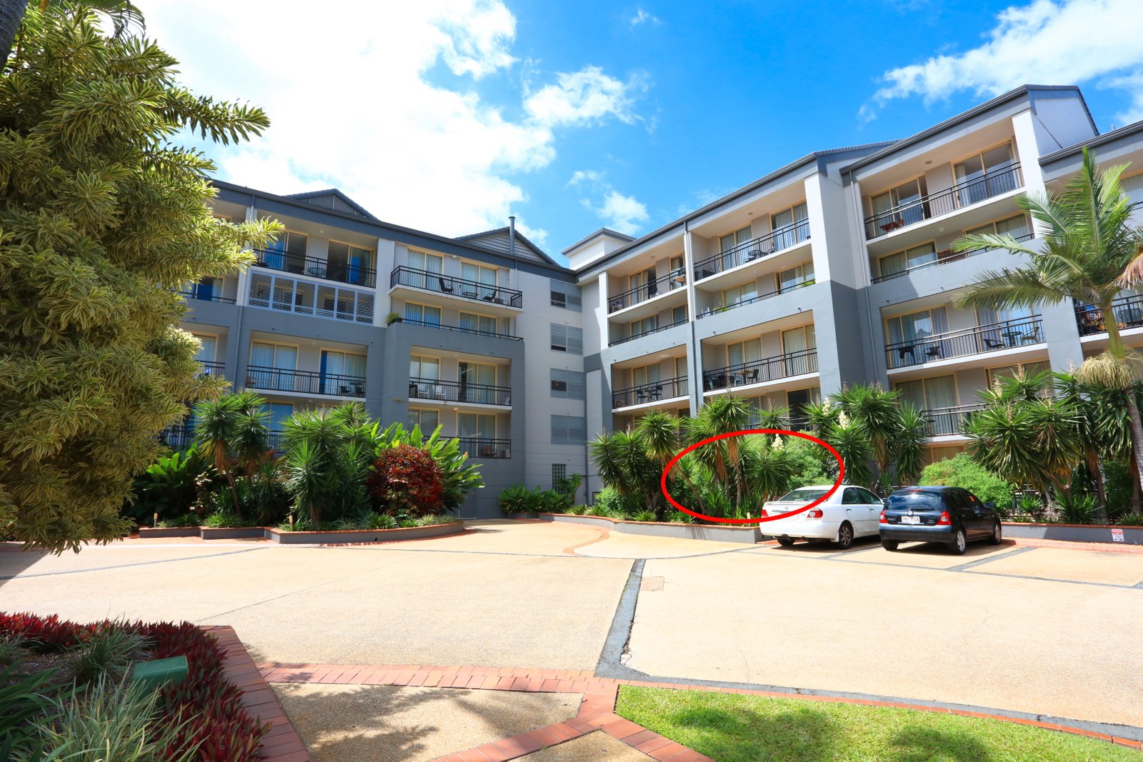 23/1 Paradise Island SURFERS PARADISE 2