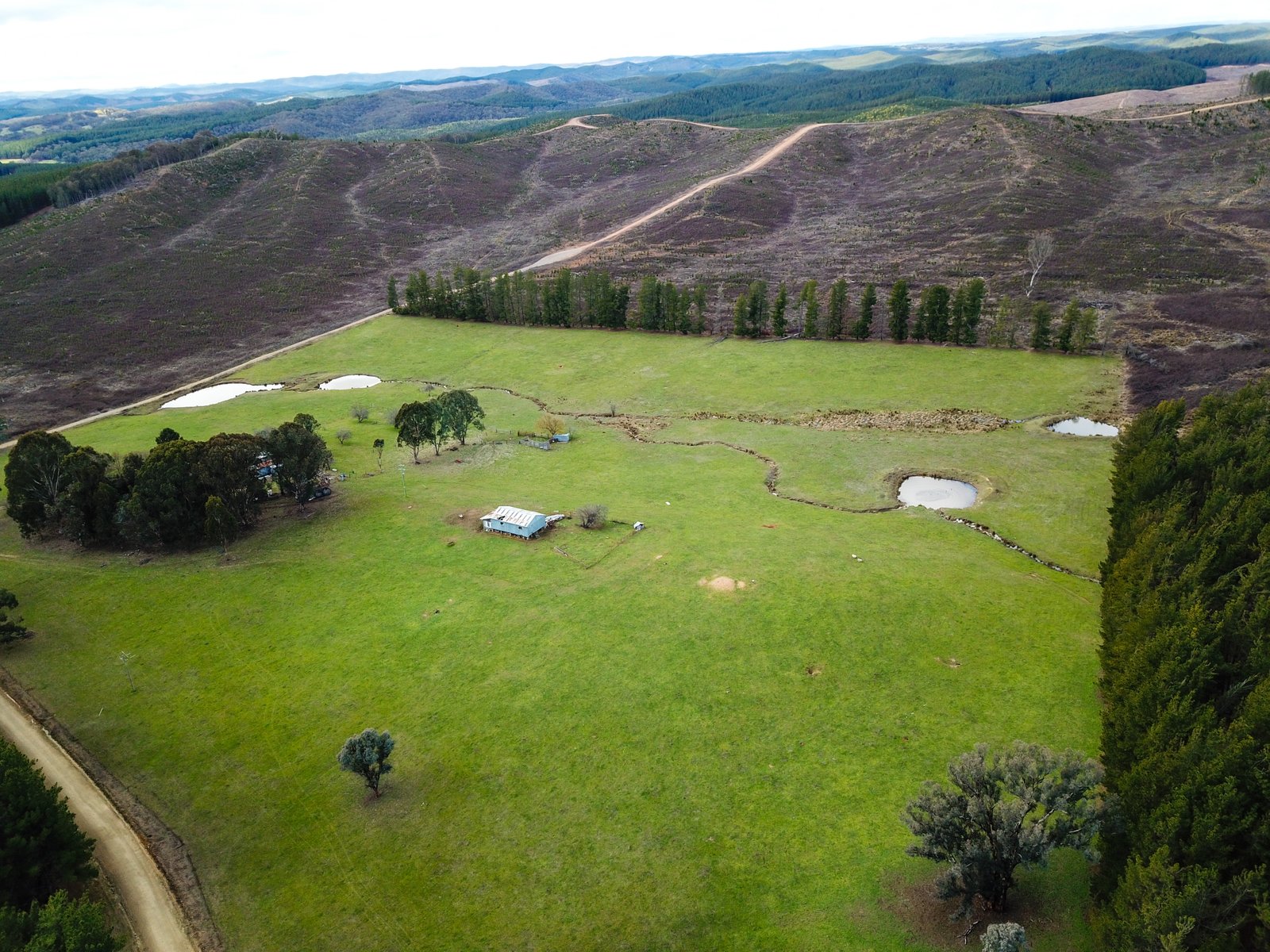 233 Logans Road TUMBARUMBA 1