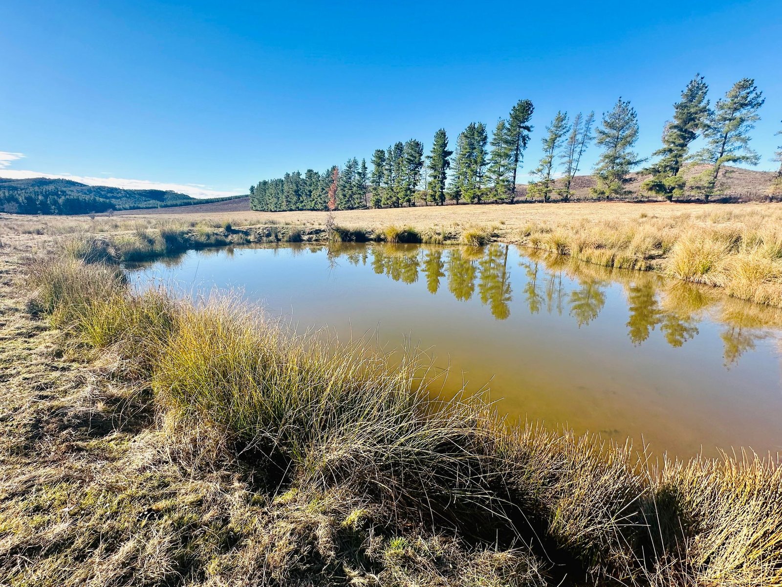 233 Logans Road TUMBARUMBA 21