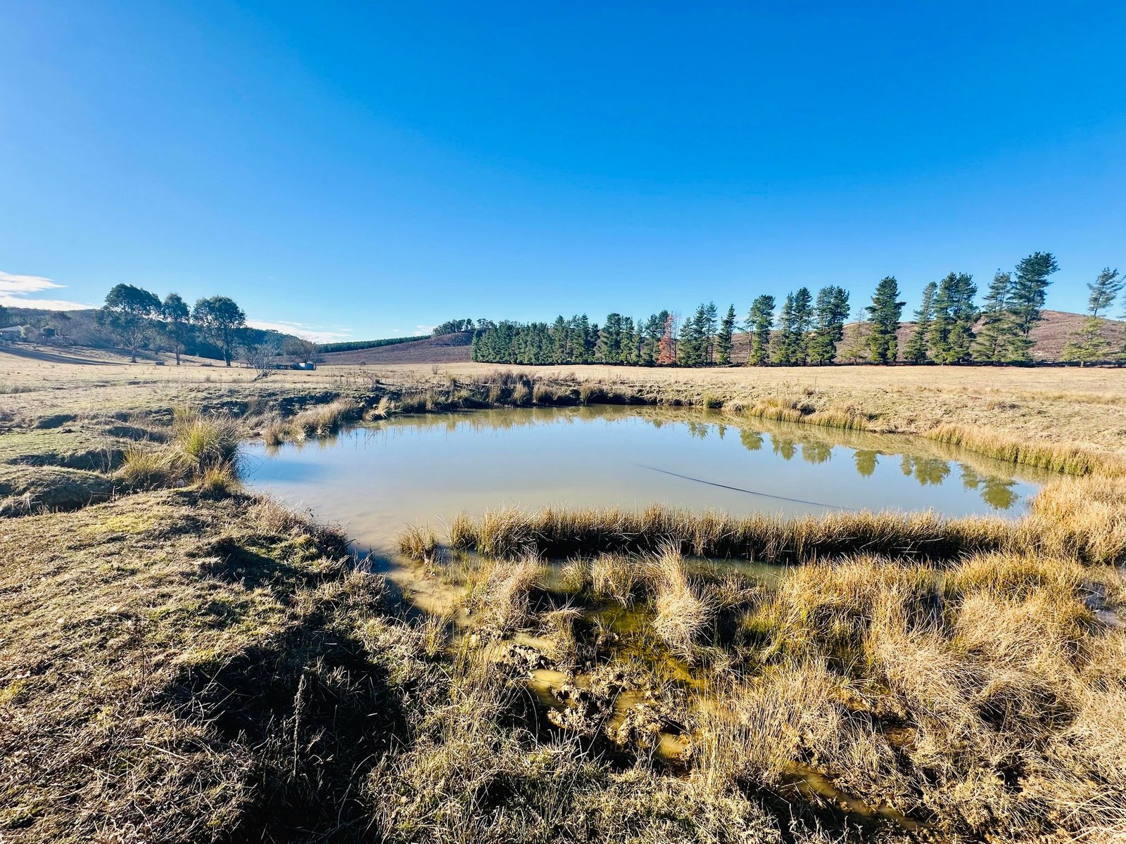 233 Logans Road TUMBARUMBA 22