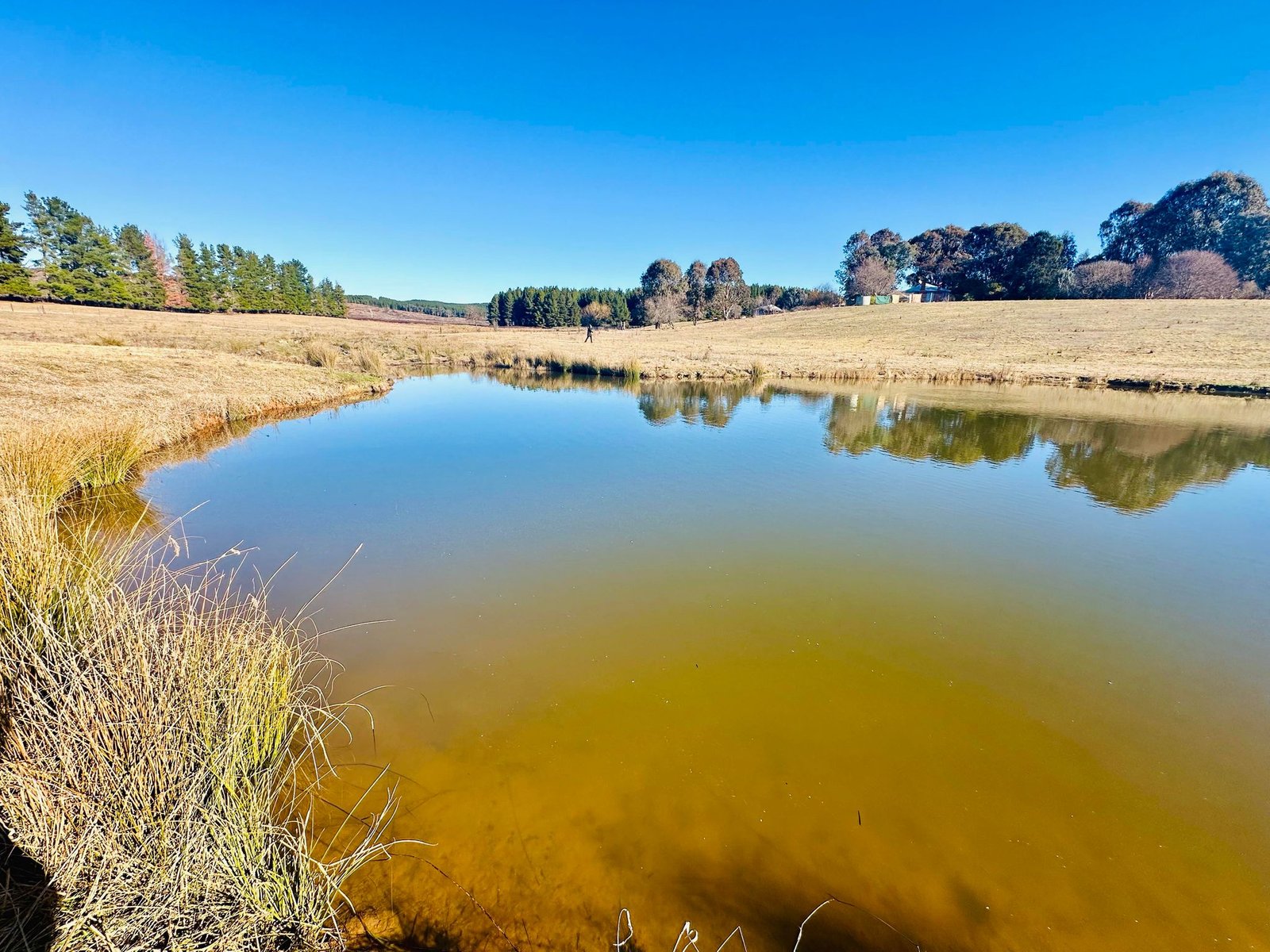233 Logans Road TUMBARUMBA 26