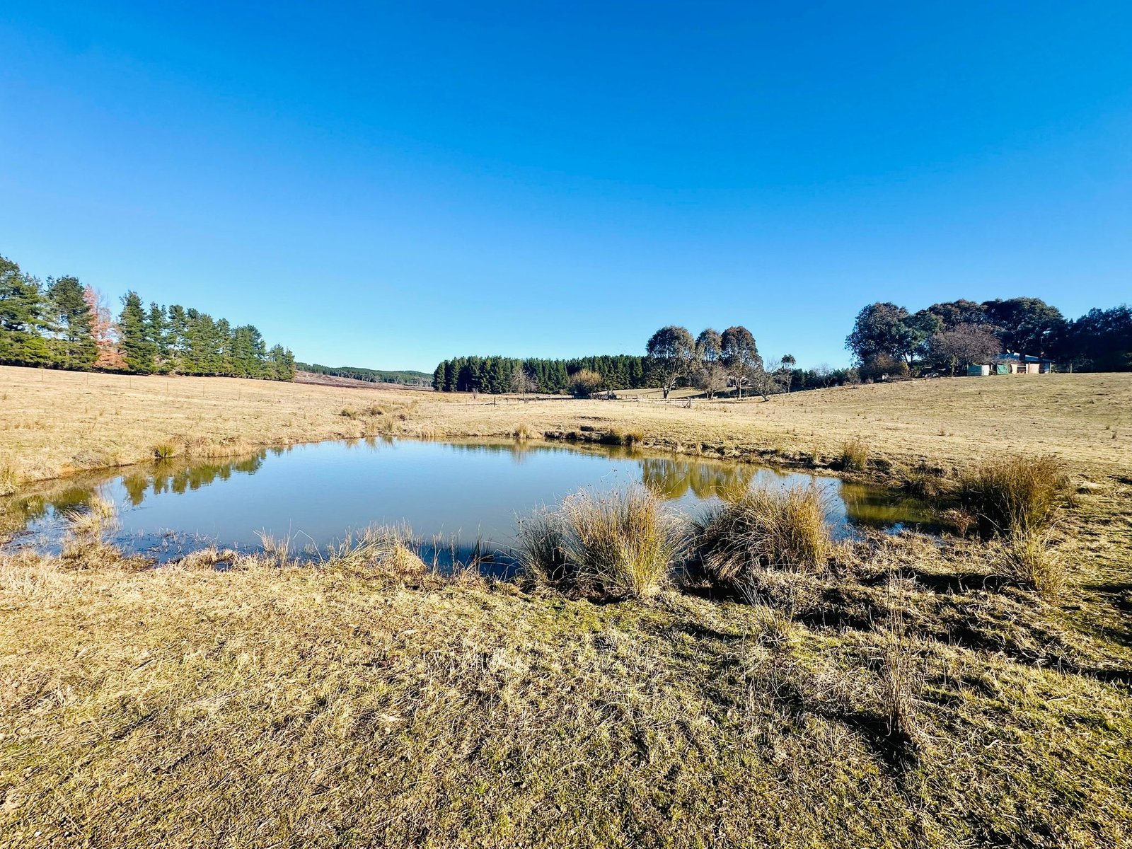 233 Logans Road TUMBARUMBA 27