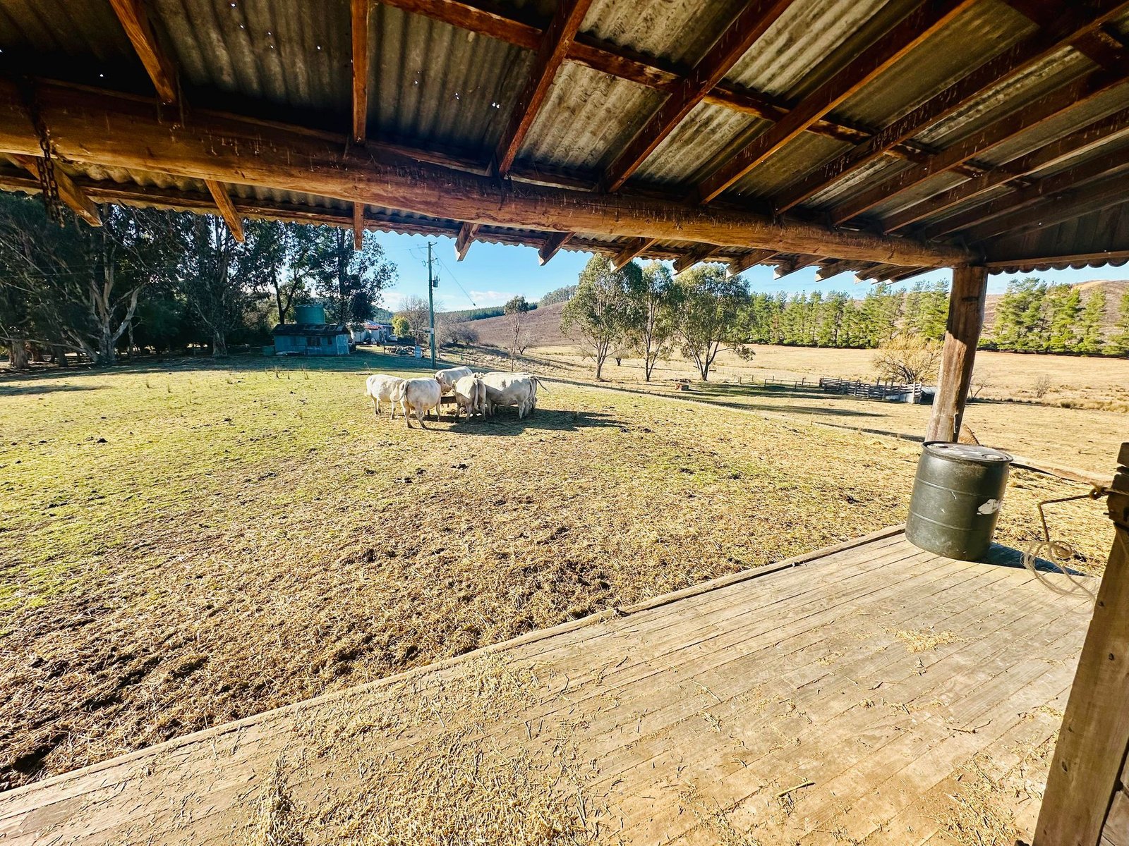 233 Logans Road TUMBARUMBA 30