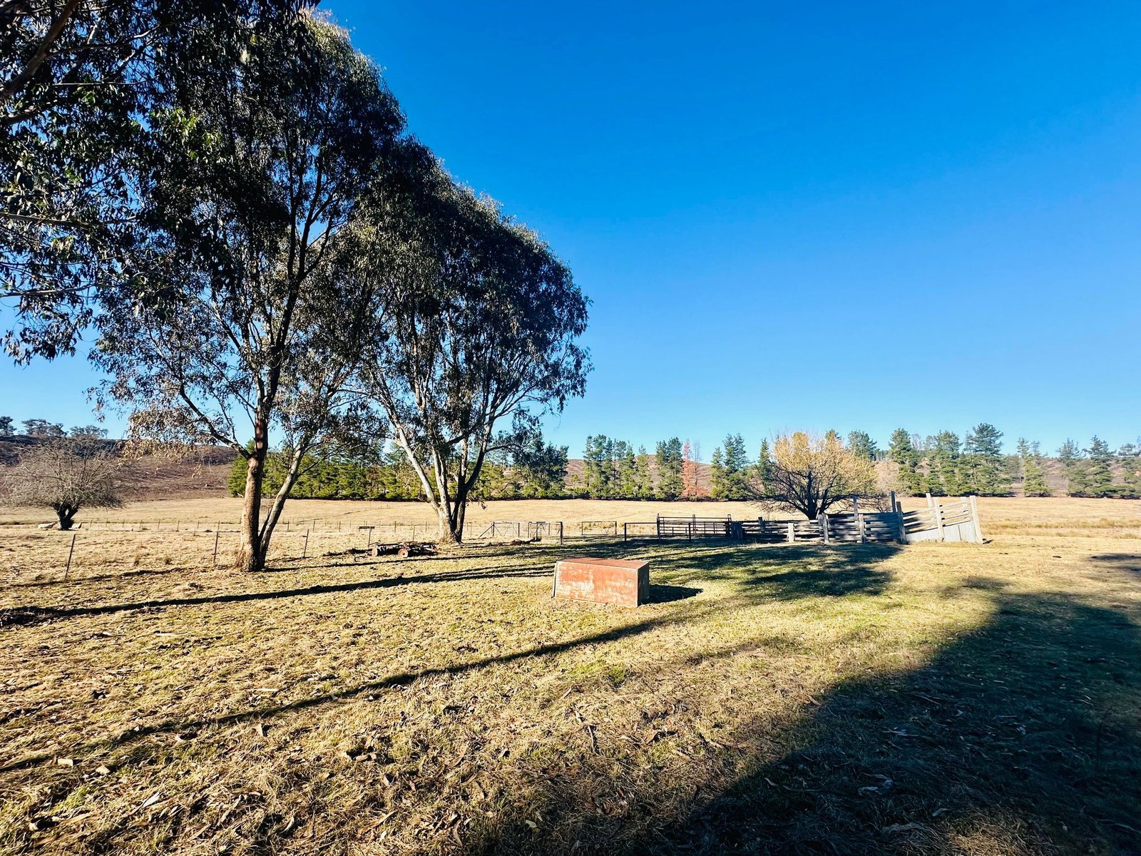 233 Logans Road TUMBARUMBA 31