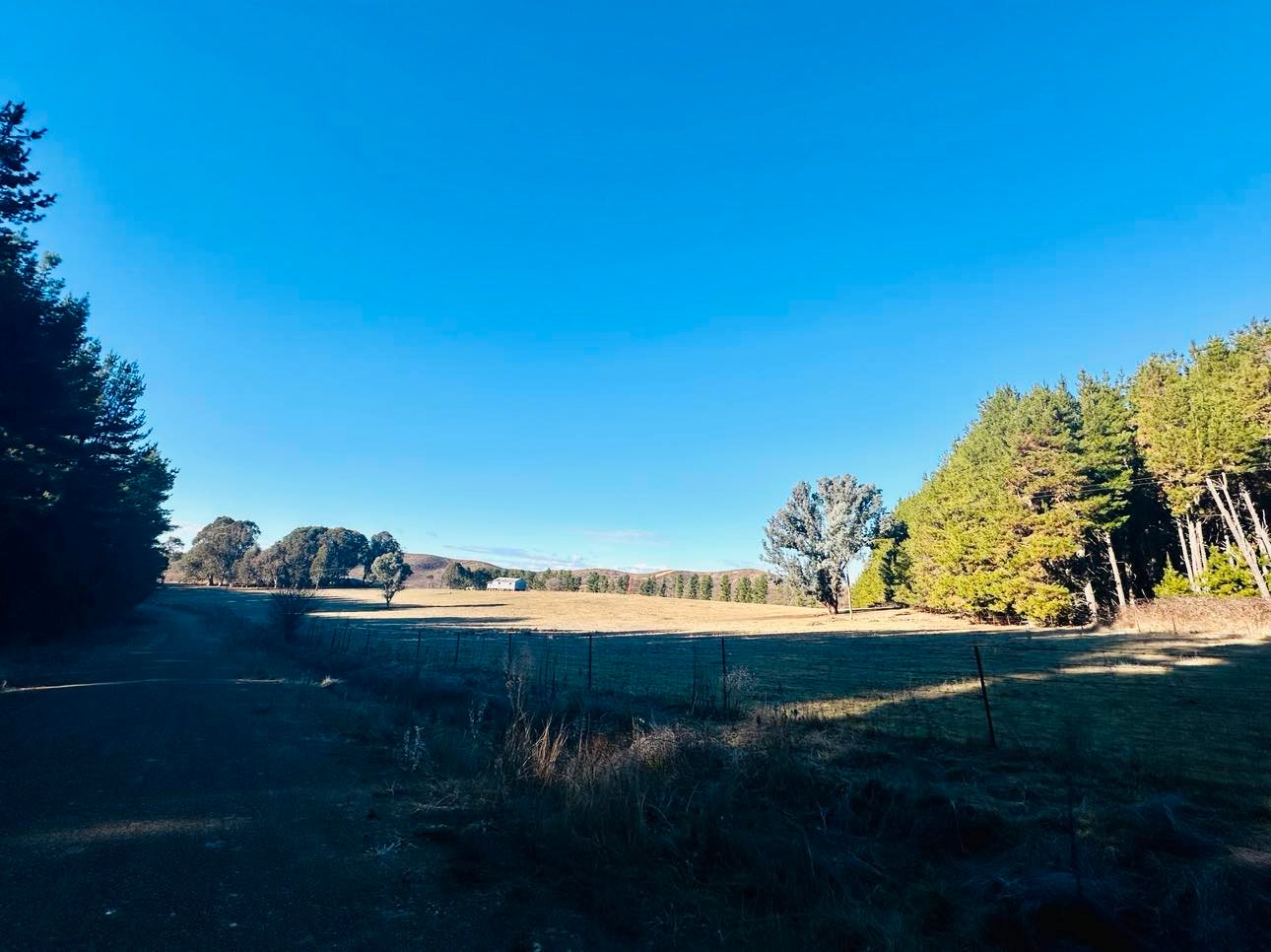 233 Logans Road TUMBARUMBA 32