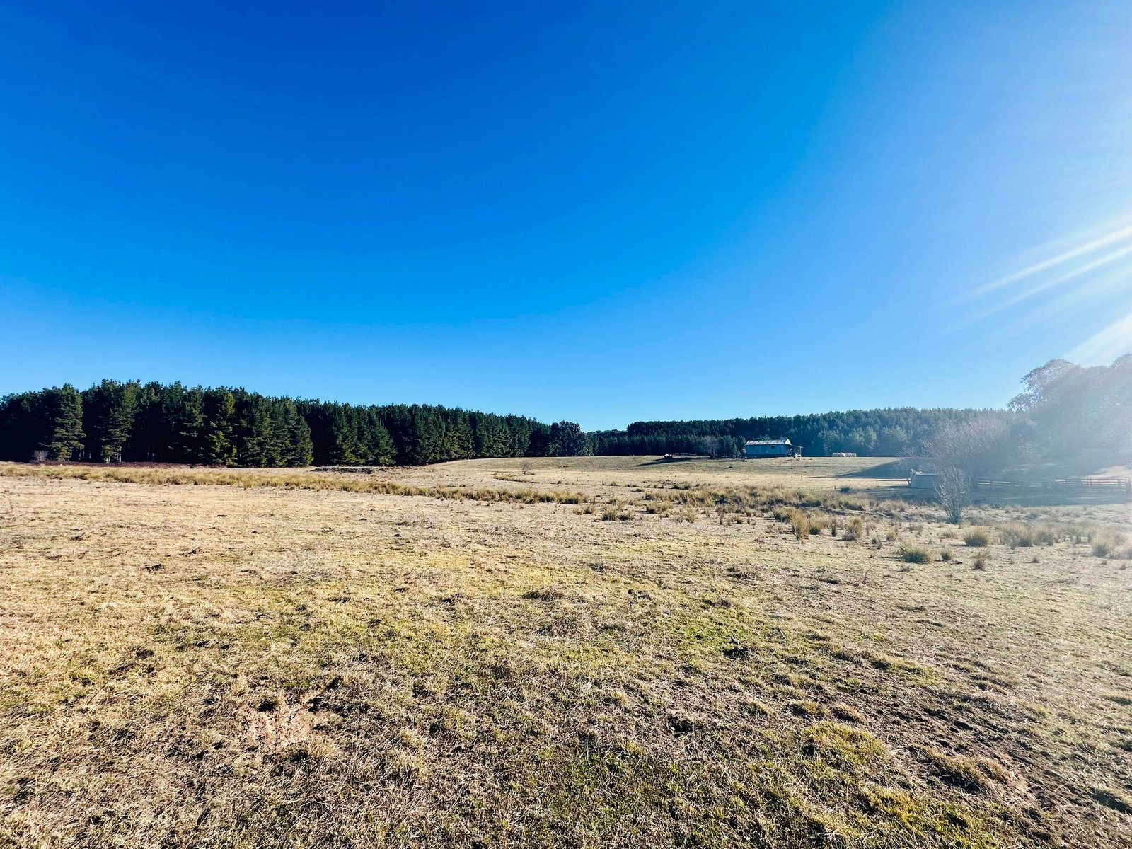 233 Logans Road TUMBARUMBA 34