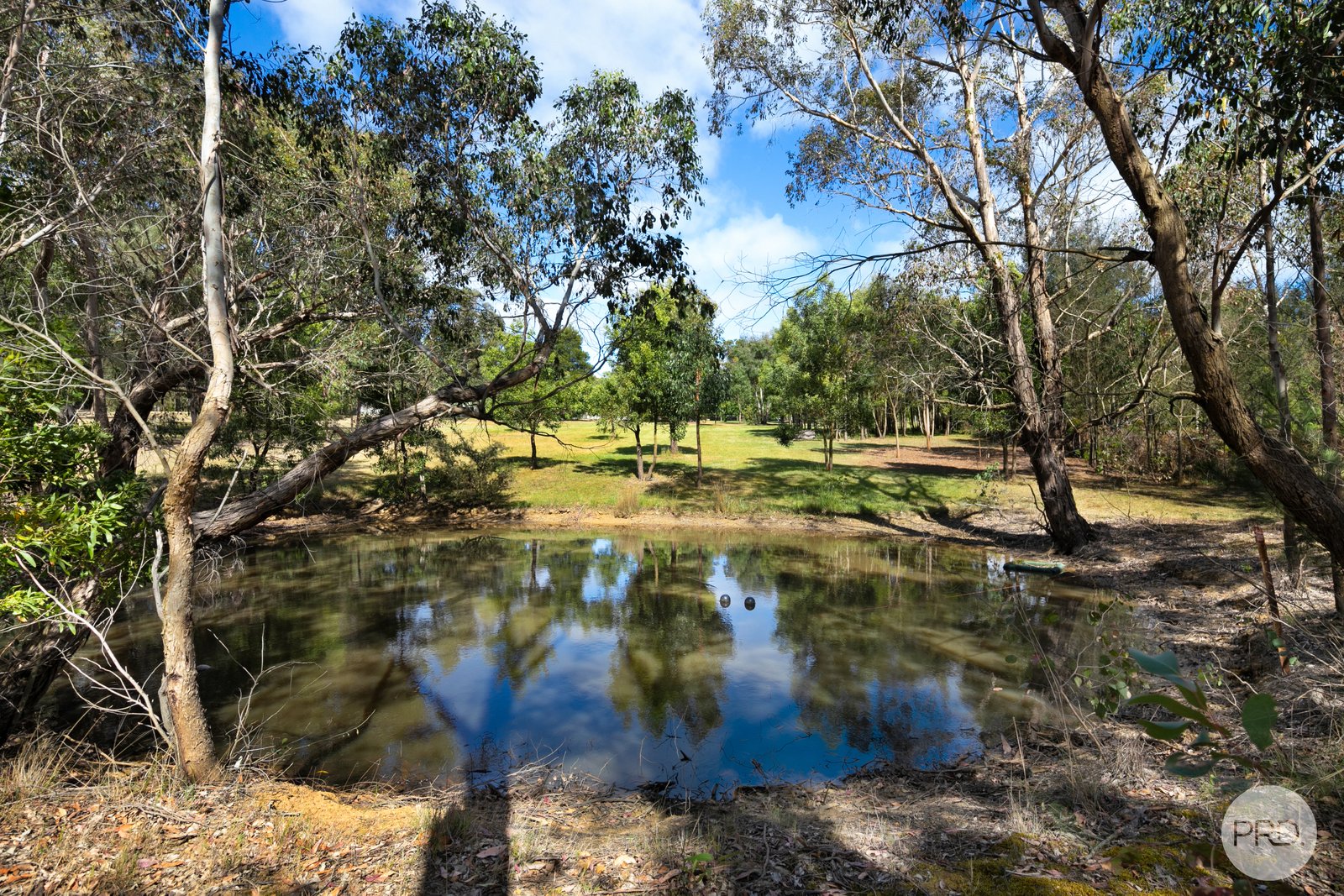 233 Platts Road SCOTSBURN 18