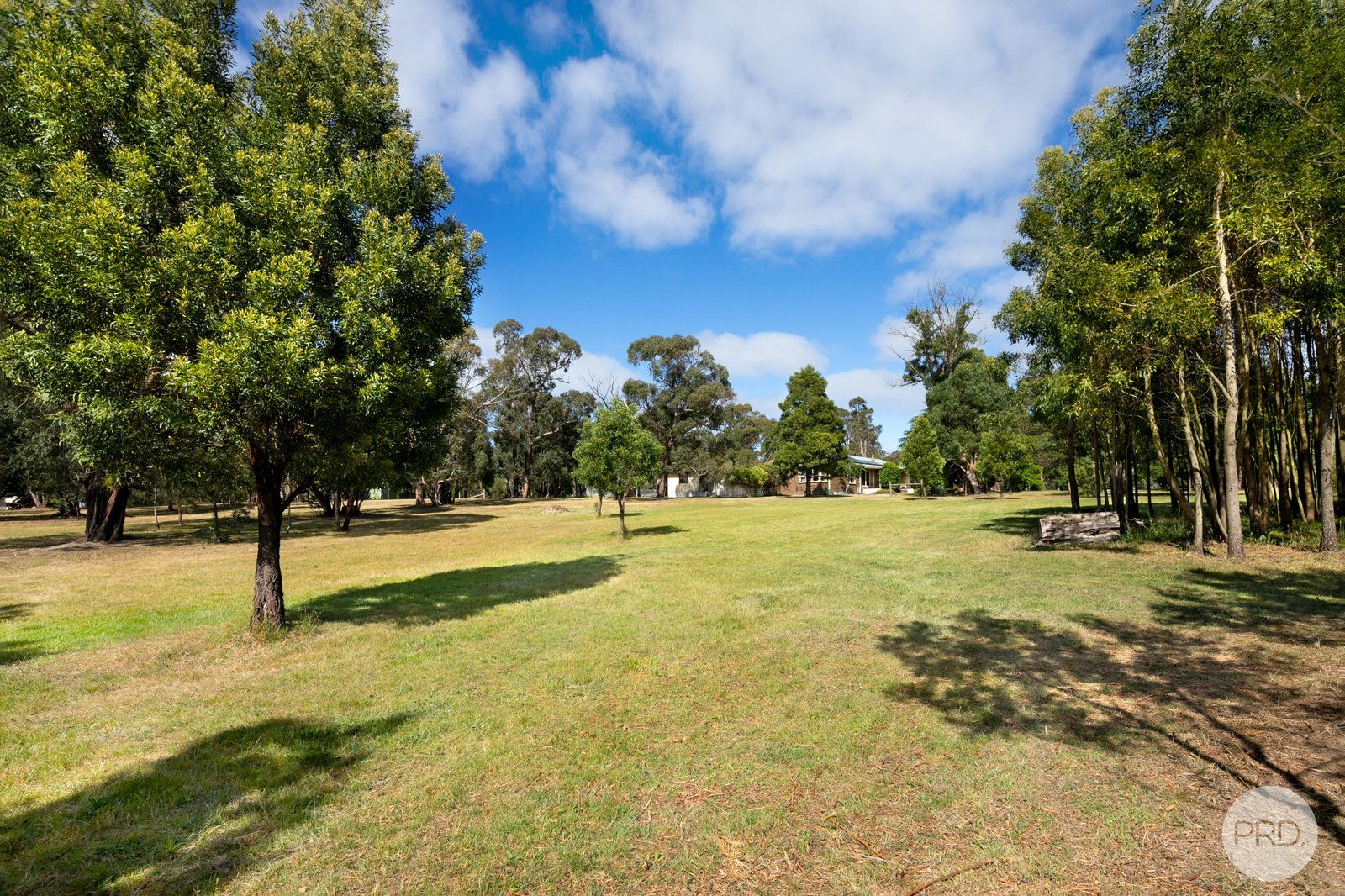 233 Platts Road SCOTSBURN 21