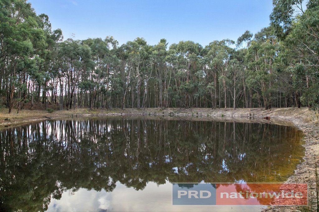 2334 Glenelg Highway SCARSDALE 14