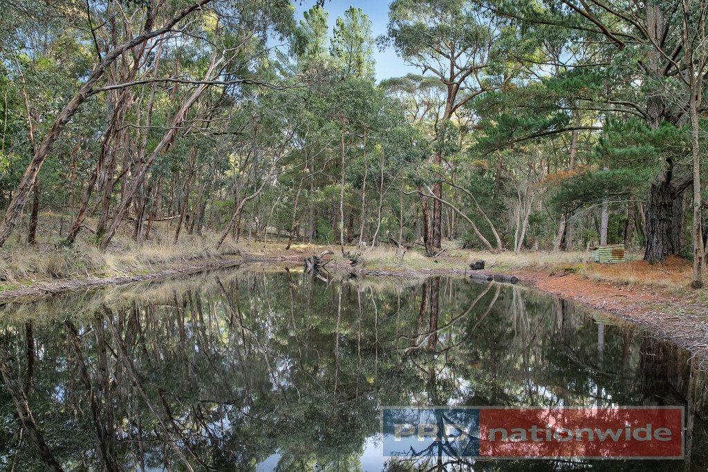 2334 Glenelg Highway SCARSDALE 15