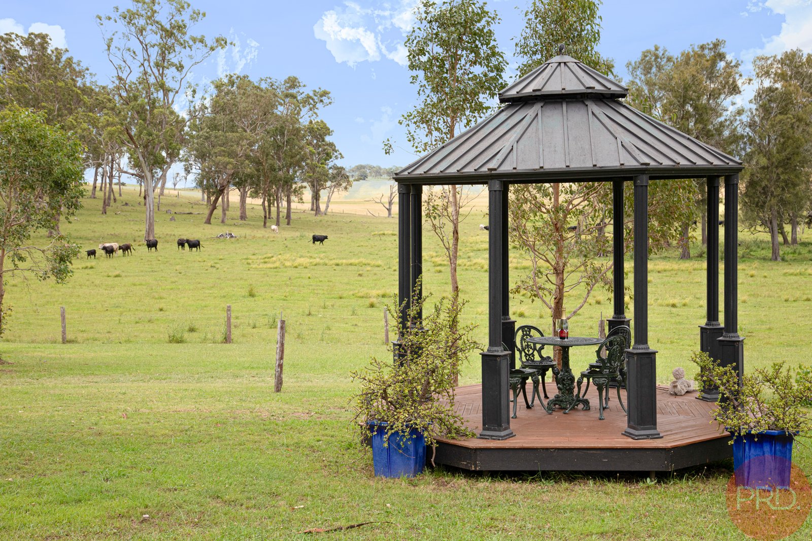 234 Maitland Vale Road MAITLAND VALE 3